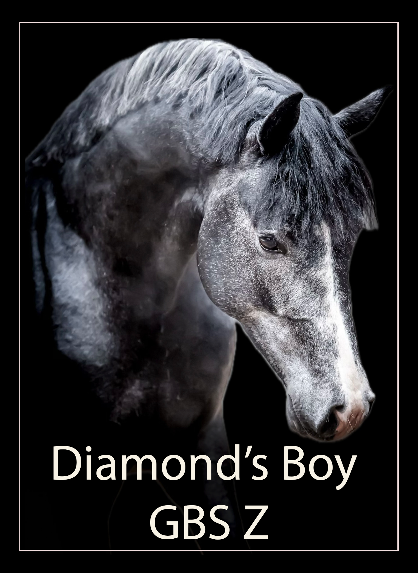 Diamonds boy 3123.png__PID:cd21dc60-2b6d-4188-93bc-09c7c9eb92e8